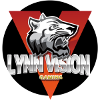 Lynn Vision
